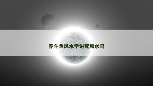 養(yǎng)斗魚(yú)風(fēng)水學(xué)講究風(fēng)水嗎