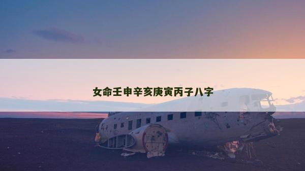 女命壬申辛亥庚寅丙子八字