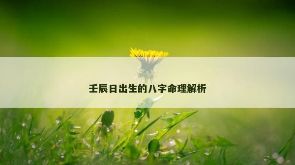 壬辰日出生的八字命理解析 壬辰日出生的八字命理解析