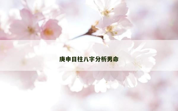 庚申日柱八字分析男命