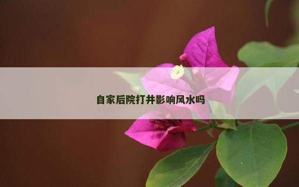 自家后院打井影響風水嗎