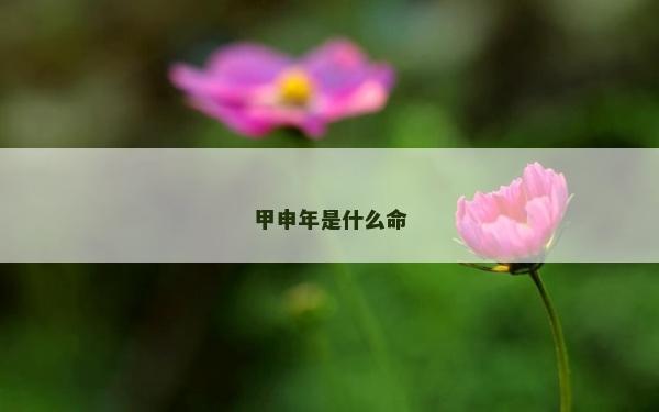 甲申年是什么命 甲申年是什么命