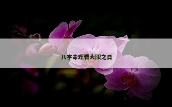 八字命理看大限之日