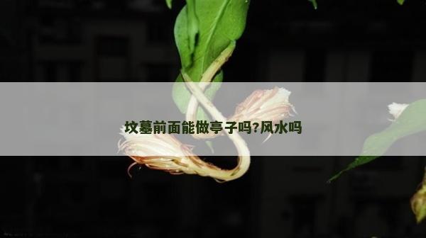 墳?zāi)骨懊婺茏鐾ぷ訂?風(fēng)水嗎