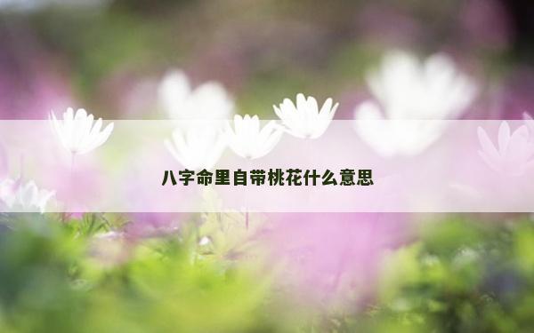 八字命里自帶桃花什么意思