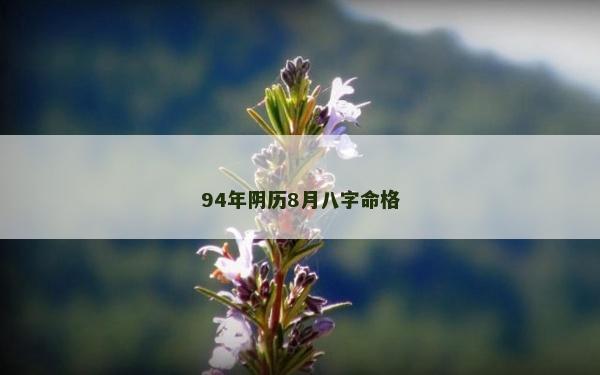 94年陰歷8月八字命格