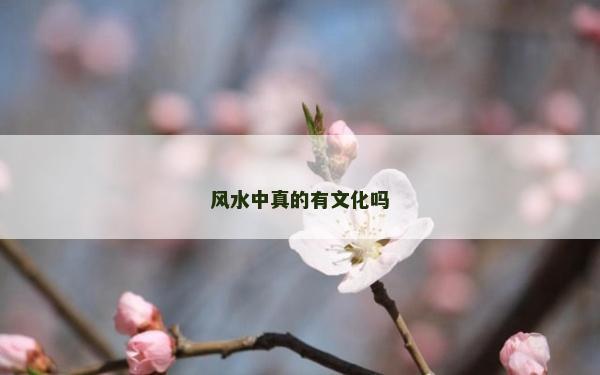 風水中真的有文化嗎
