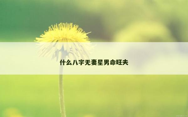 什么八字無妻星男命旺夫