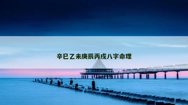 辛巳乙未庚辰丙戌八字命理 辛巳乙未庚辰丙戌八字命理