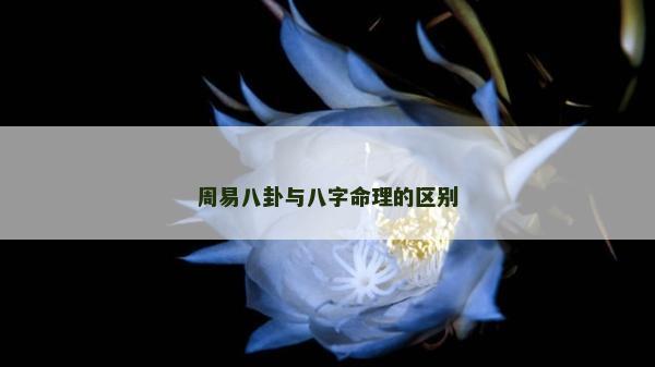 周易八卦與八字命理的區(qū)別