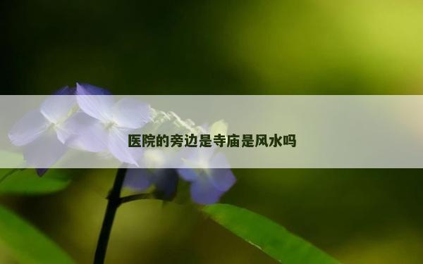 醫院的旁邊是寺廟是風水嗎 醫院的旁邊是寺廟是風水嗎