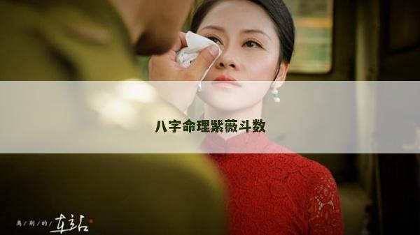 八字命理紫薇斗數(shù)