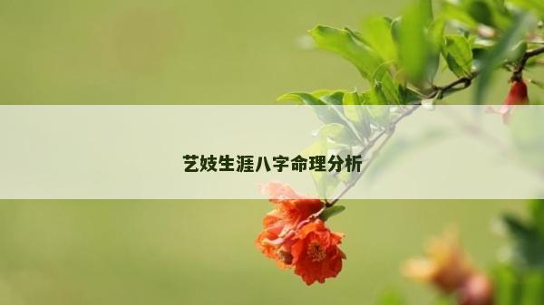 藝妓生涯八字命理分析