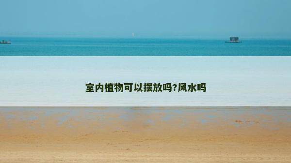 室內(nèi)植物可以擺放嗎?風水嗎
