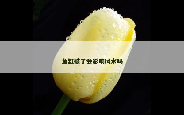 魚缸破了會影響風水嗎