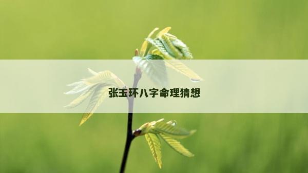 張玉環八字命理猜想
