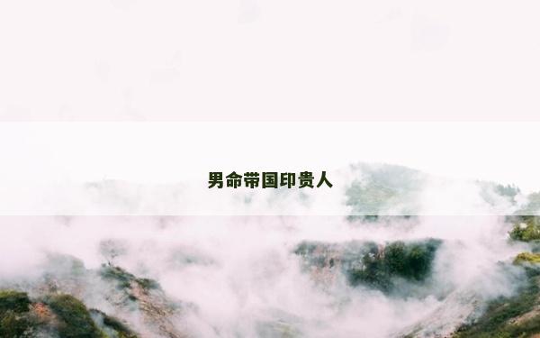 男命帶國印貴人