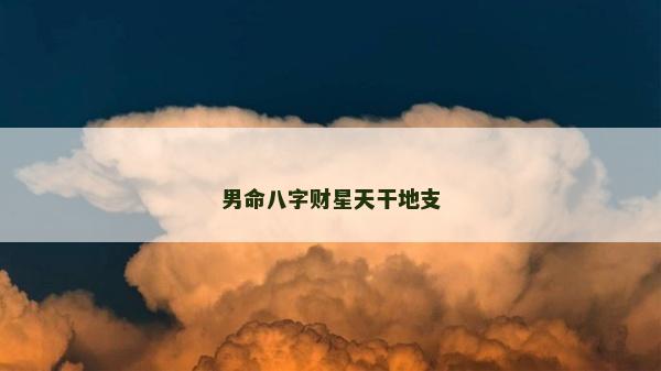 男命八字財星天干地支