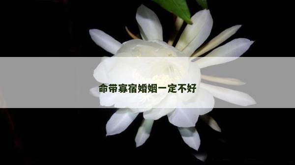 命帶寡宿婚姻一定不好