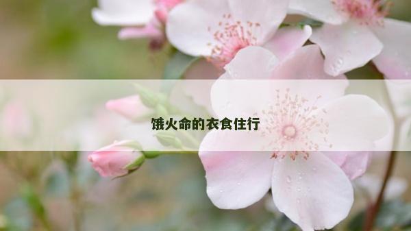 餓火命的衣食住行