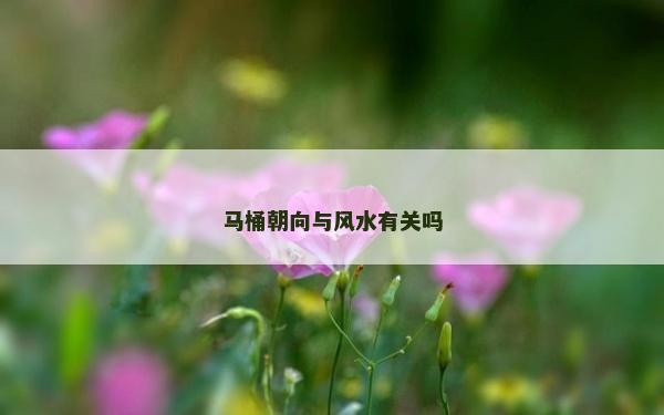 馬桶朝向與風水有關(guān)嗎