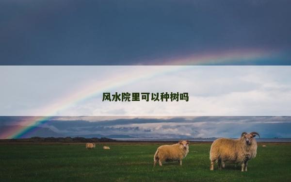 風(fēng)水院里可以種樹嗎