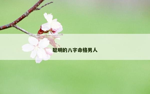 聰明的八字命格男人