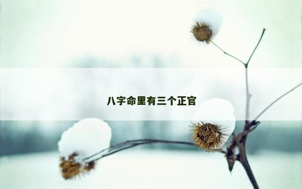 八字命里有三個正官
