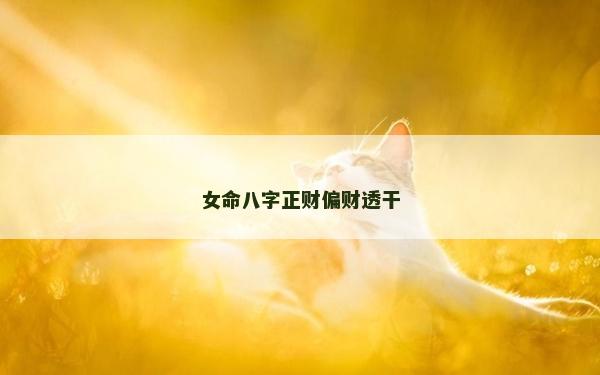 女命八字正財(cái)偏財(cái)透干