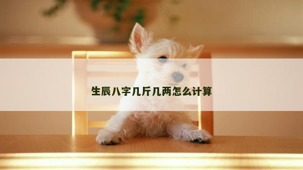生辰八字幾斤幾兩怎么計算