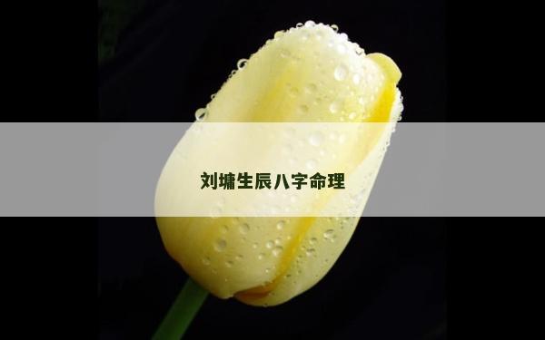 劉墉生辰八字命理