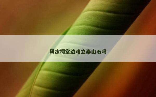 風(fēng)水祠堂邊難立泰山石嗎
