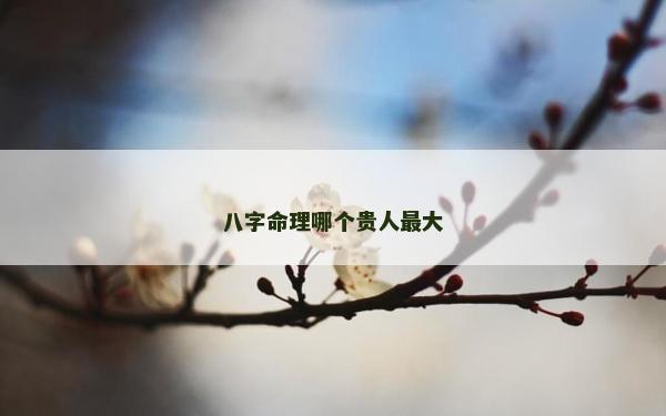 八字命理哪個(gè)貴人最大