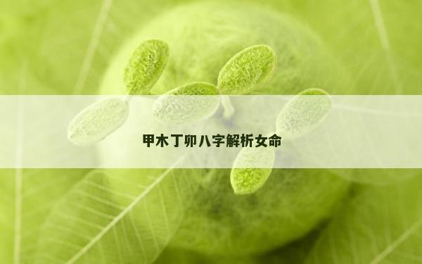 甲木丁卯八字解析女命 甲木丁卯八字解析女命