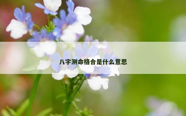 八字測命格合是什么意思