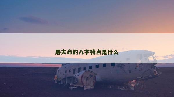 屠夫命的八字特點是什么