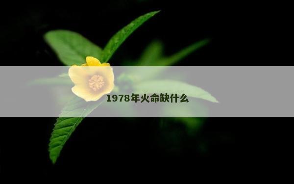 1978年火命缺什么 1978年火命缺什么