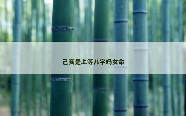己亥是上等八字嗎女命