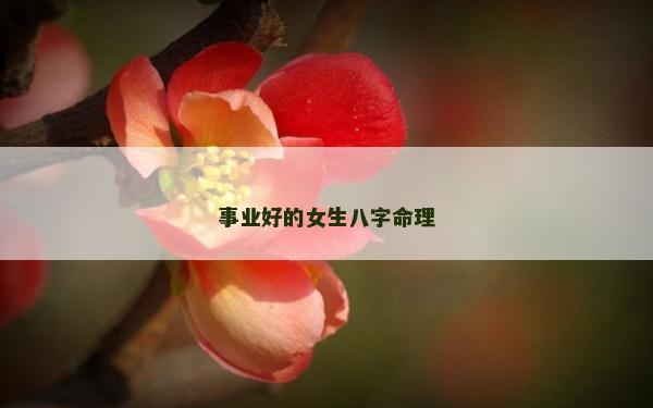 事業好的女生八字命理
