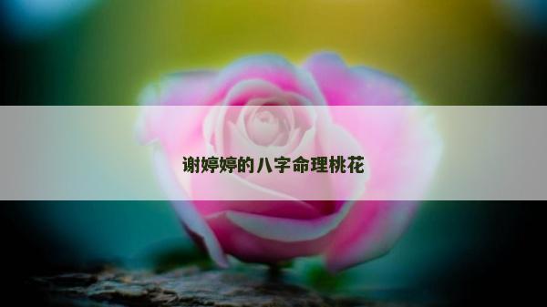 謝婷婷的八字命理桃花