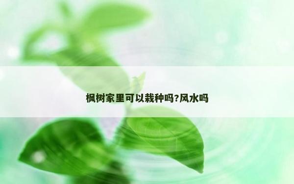楓樹家里可以栽種嗎?風水嗎