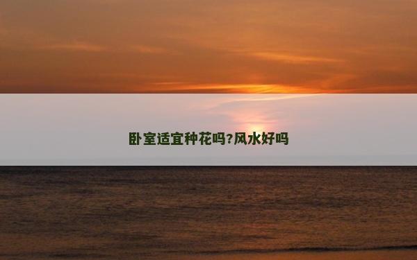 臥室適宜種花嗎?風(fēng)水好嗎