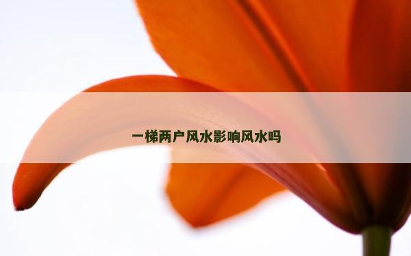 一梯兩戶風水影響風水嗎