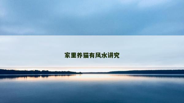 家里養貓有風水講究