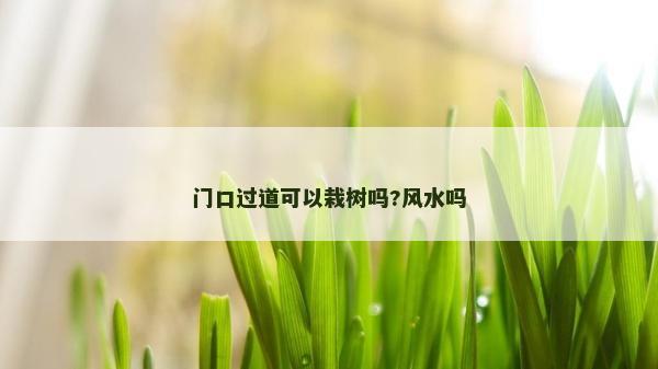 門口過道可以栽樹嗎?風水嗎