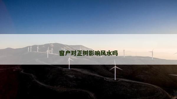 窗戶對正樹影響風水嗎
