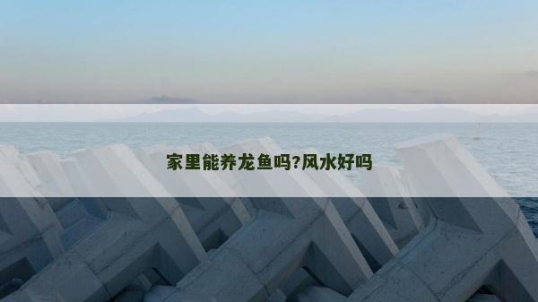 家里能養龍魚嗎?風水好嗎