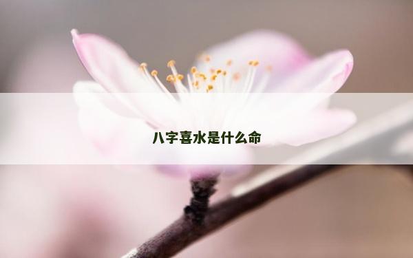 八字喜水是什么命