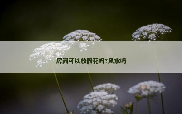 房間可以放假花嗎?風水嗎