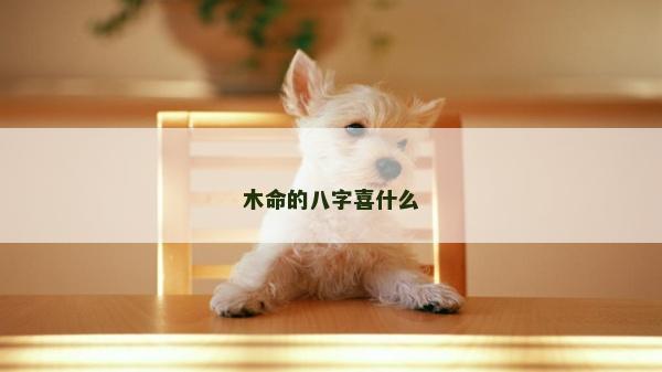 木命的八字喜什么